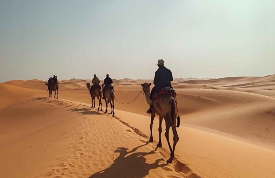 jeep tours, rappelling activities and desert tours2